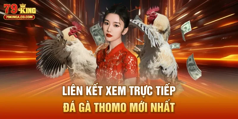 Liên kết xem trực tiếp đá gà Thomo mới nhất